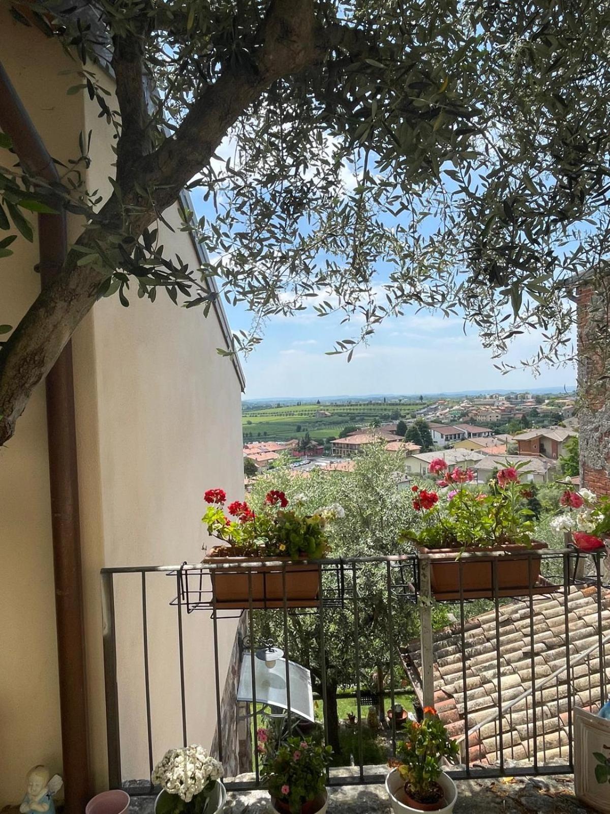 Garden Room Cavaion Veronese Dış mekan fotoğraf